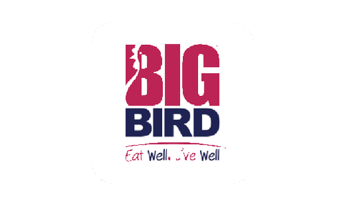 Big Bird logo